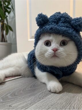 Plush Gray Fleece Cat Hat and Vest - Cozy Pet Costume